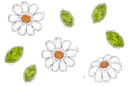 FLORES FLOTANDO