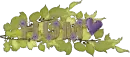 hum