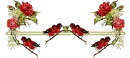 red birds 