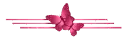 mariposa 
