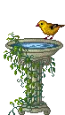 BIRD BATH