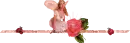 angel co rosa