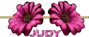 JUDY