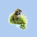 dog vs racoon