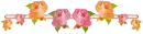 flores de colores  