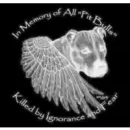 i love pitbulls