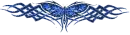 blue divider
