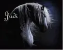 Judi