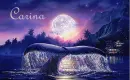 Carina