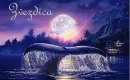 Zvezdica