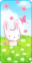 bunny fly