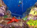 fish tank bubbles