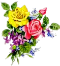 rosas