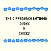 dudes and chicks