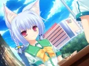 Neko Koi!