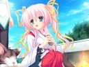 Neko Koi!
