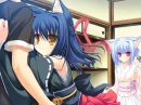 Neko Koi!