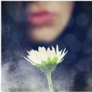 Make A Wish