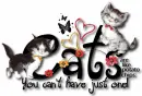 Cats