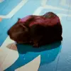 Sky High