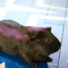 Sky High