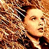 Wizard of Oz