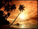 Holidays