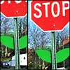 Stop Plant