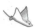 Sea Anmal