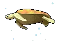 Sea Anmal