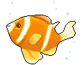 Sea Anmal