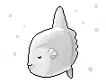 Sea Anmal