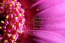 psalm 107 