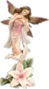 Fairy Girl