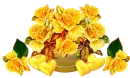 Yellow Flowers