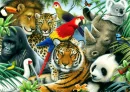 Wild Kingdom