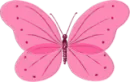 Pink Butterfly