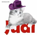Cat -- For Judi