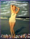 96.052010-beachpinupNJseashells-sa