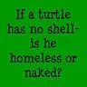 Homeless/Naked Turtle?