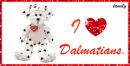 Dalmation signature.