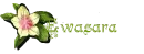 EwaSara