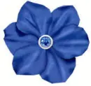 Fleur