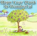WONDERFUL WEEK