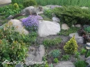 kwiat, Flower, garden, Photo by Anna85