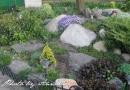 kwiat, Flower, garden, Photo by Anna85