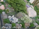 kwiat, Flower, garden, Photo by Anna85