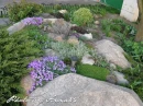 kwiat, Flower, garden, Photo by Anna85