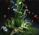 Somewhere in Elfland