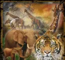 africa animals